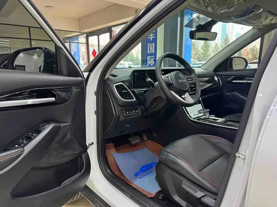 Kia Cyrus (Seltos) 2023 Certus 1.5L CVT Luxury Edition 2023 — миниатюра 4