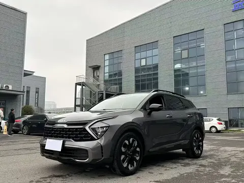 Kia Lion Platinum 2023 купить в Москве