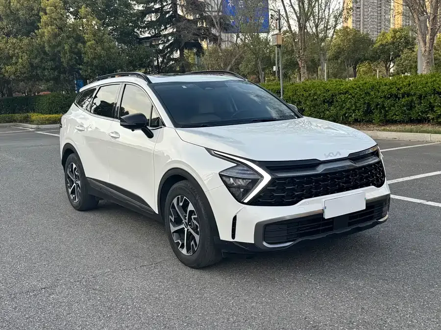 Kia Lion Platinum 2023 Lion Bo Tuojie 1.5T 2WD Premium Edition 2024 — миниатюра 3