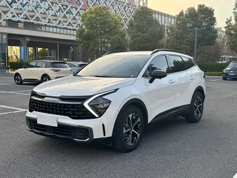 Kia Lion Platinum 2024 купить в Москве