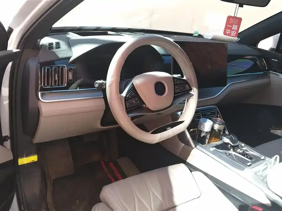 BYD Tang New Energy Tang New Energy 2024 EV Honor Edition 600KM Premium Edition 2024 — миниатюра 5