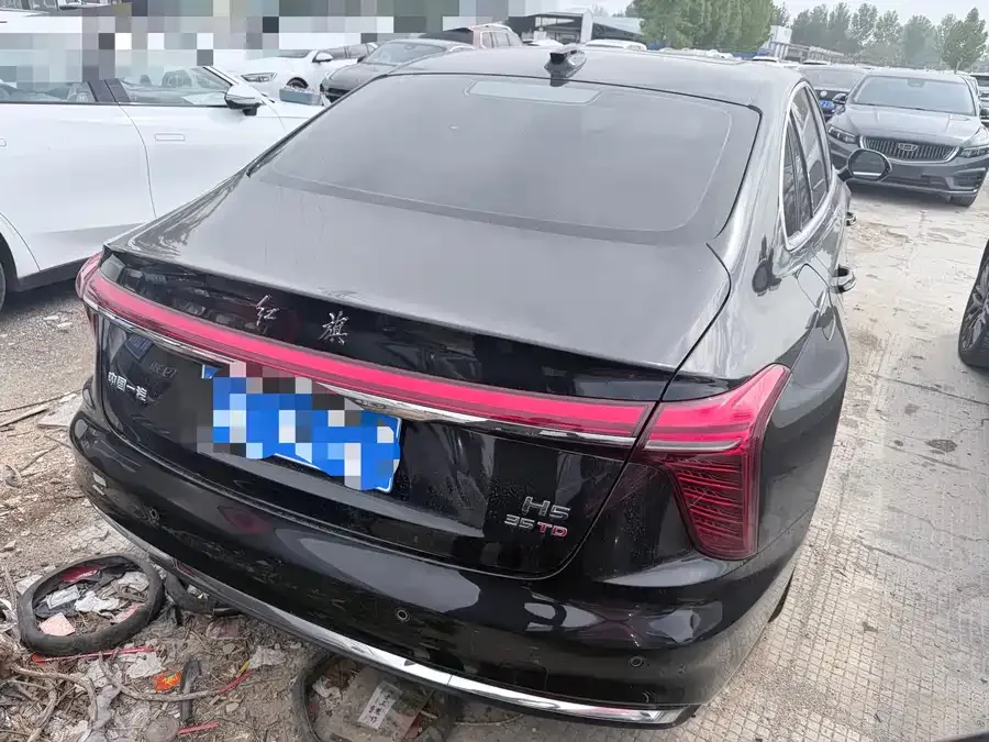 Hongqi H5 Hongqi H5 2023 1.5T DCT Zhilian Qiyue Edition 2024 — миниатюра 3