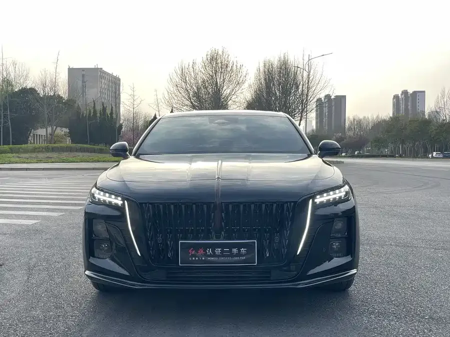 Hongqi H5 Hongqi H5 2025 2.0T Automatic Shadow Edition 2025 — миниатюра 3