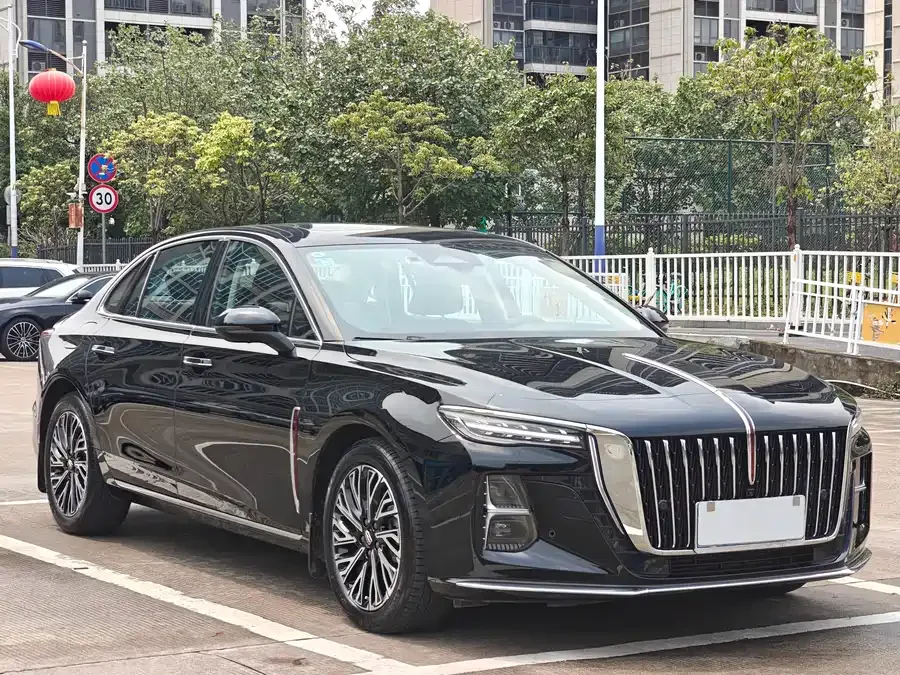 Hongqi H5 Hongqi H5 2025 2.0T Automatic Flagship Edition 2025 — миниатюра 3