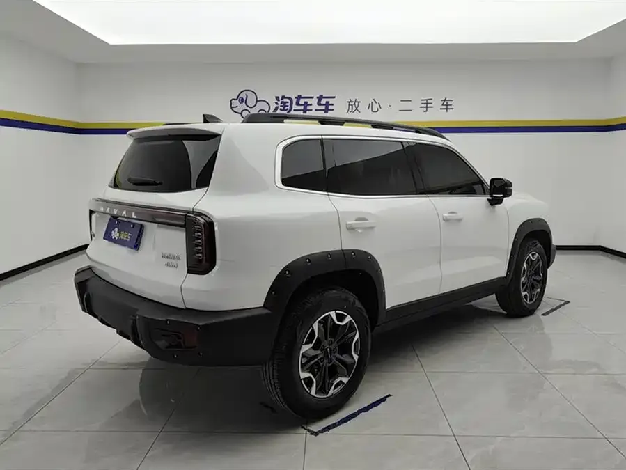 Haval Big dog Haval Big Dog 2024 2.0T DCT Chinese Pastoral Dog Edition 2024 — миниатюра 3