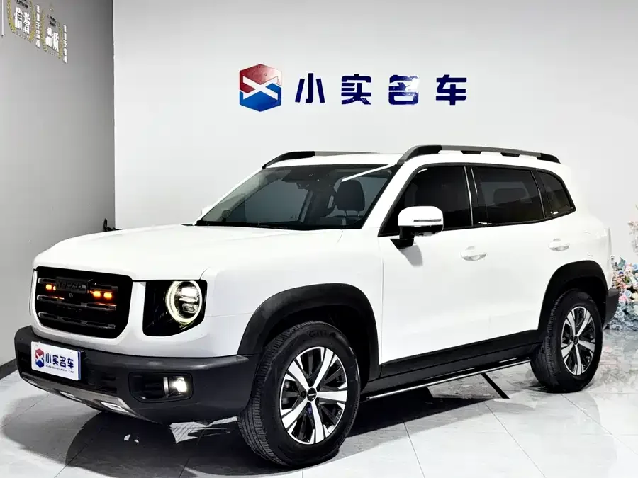 Haval Big dog Haval Big Dog 2022 1.5T DCT 2WD Labrador Edition 2022 — фото 1, купить с доставкой в Москву