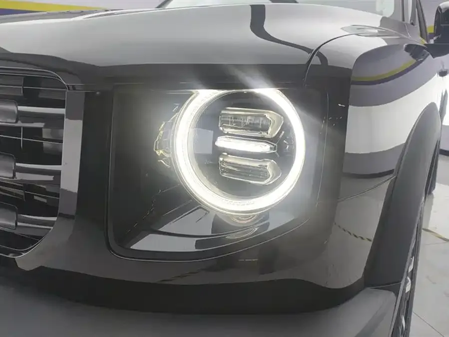 Haval Big dog Haval Big Dog 2021 1.5T DCT 2WD Border Collie Edition 2022 — миниатюра 2