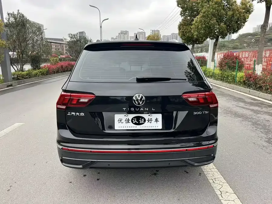 Volkswagen Tiguan L Tiguan L 2025 Outstanding Model 300TSI Automatic 2WD Longteng Edition 2025 — миниатюра 5