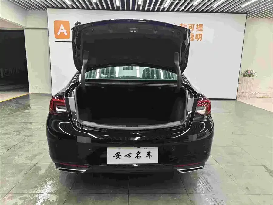 Buick Regal Regal 2024 25T Super Edition 2024 — миниатюра 2