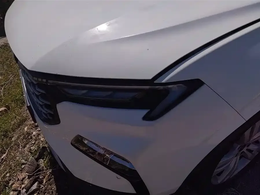Ford Lingrui EcoBoost 2022 facelift 170 Premium Plus 2023 — миниатюра 2