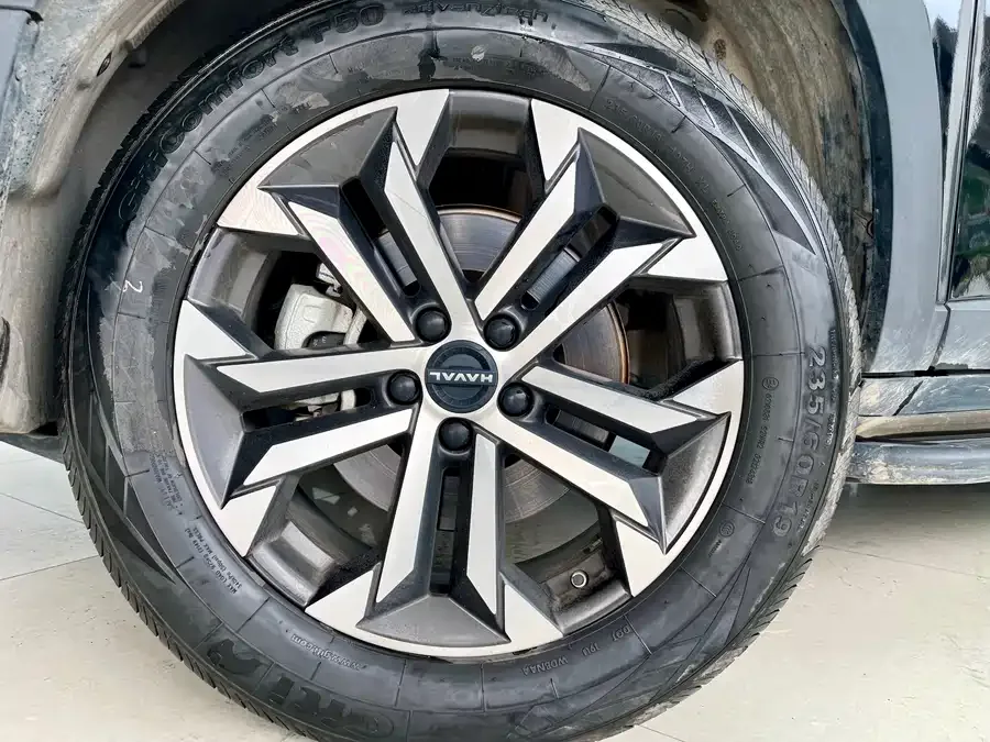 Haval Big dog Haval Big Dog 2024 1.5T DCT Border Collie Edition 2024 — миниатюра 5