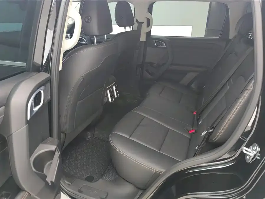 Haval Big dog Haval Big Dog 2024 2.0T DCT Chinese Pastoral Dog Edition 2024 — миниатюра 5