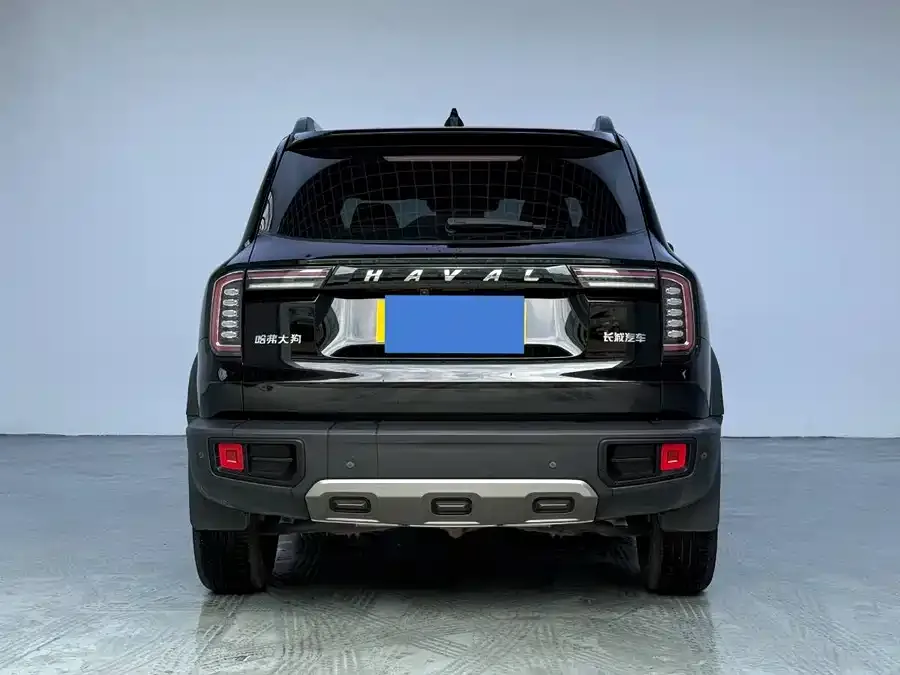 Haval Big dog Haval Big Dog 2022 1.5T DCT 2WD Border Collie Edition 2023 — миниатюра 2