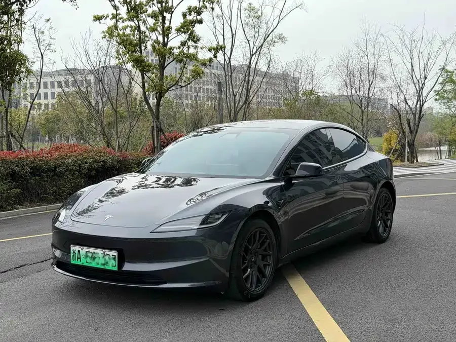Tesla Model 3 Model 3 2023 rear-wheel drive version 2025 — фото 1, купить с доставкой в Москву