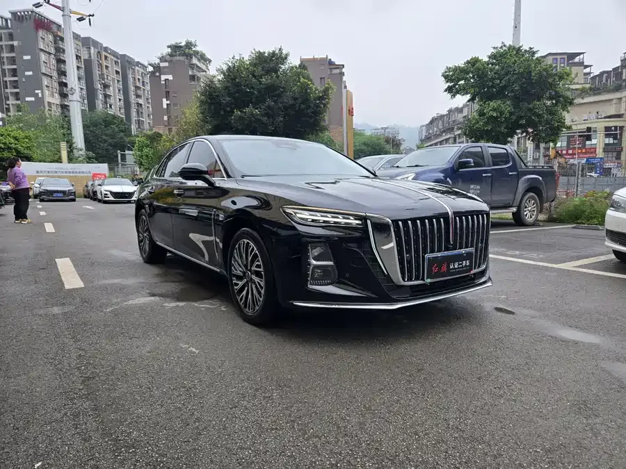 Hongqi H5 Hongqi H5 2025 2.0T Automatic Flagship Edition 2025 — миниатюра 3