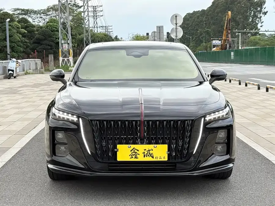 Hongqi H5 Hongqi H5 2025 2.0T Automatic Shadow Edition 2025 — миниатюра 3