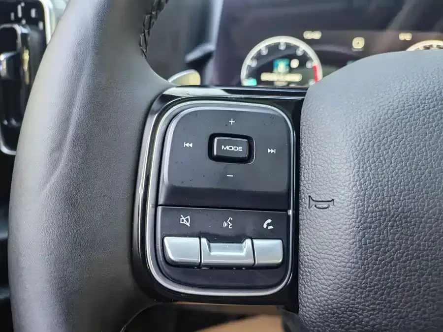 Haval Big dog Haval Big Dog 2024 1.5T DCT Labrador Edition 2024 — миниатюра 5