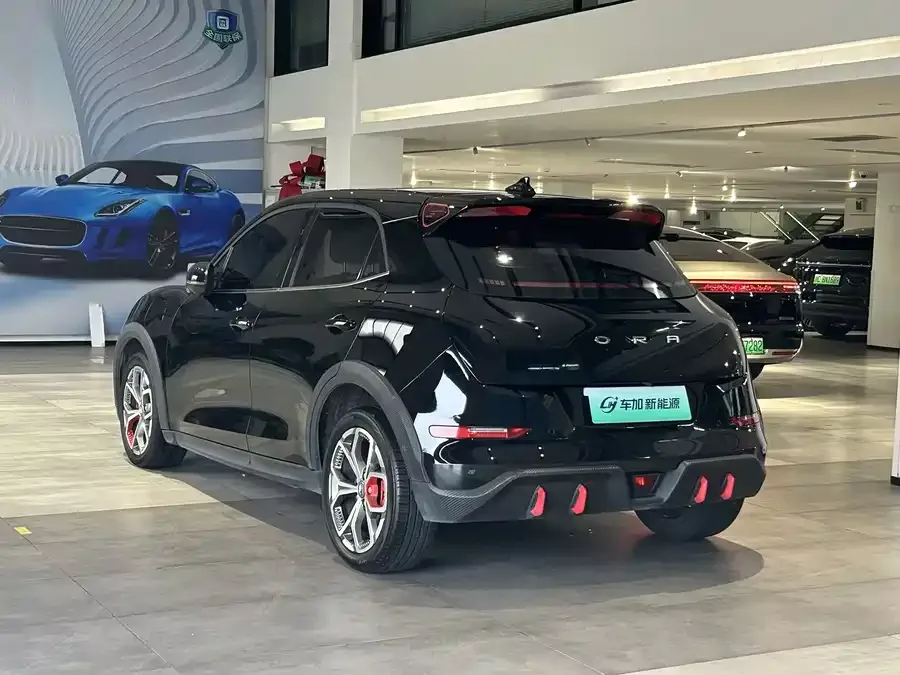 ORA Good Cat GT ORA Good Cat GT 2024 Magnolia Edition 401km Luxury Model 2025 — миниатюра 3