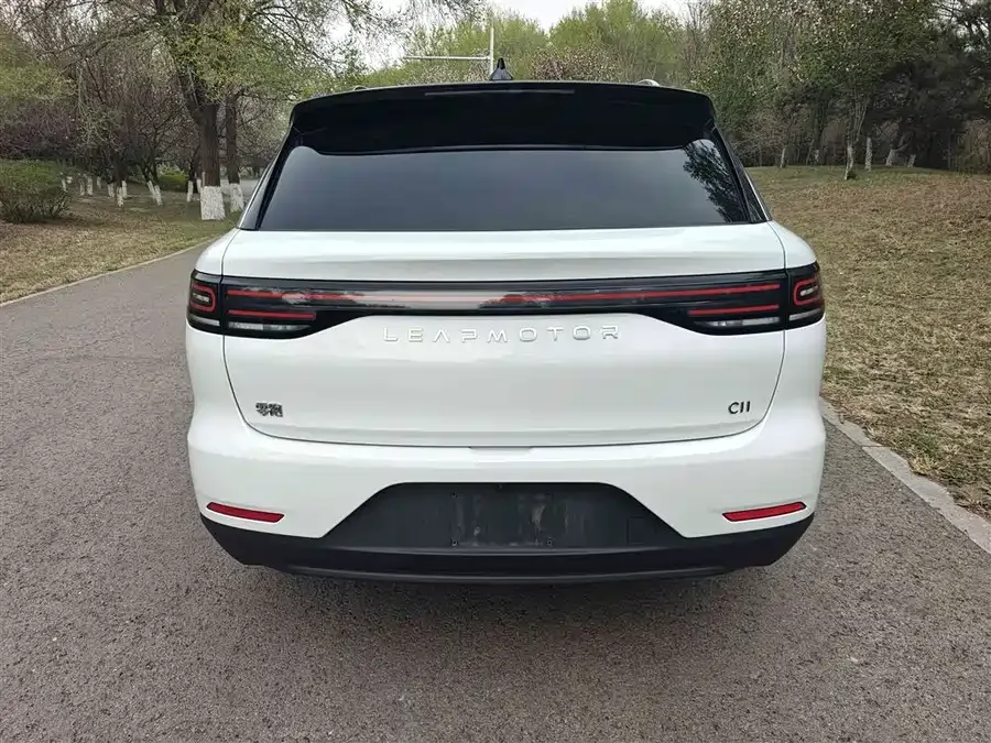 Leapmotor C11 Leapmotor C11 2024 Pure Electric 580 Premium Edition 2024 — миниатюра 2