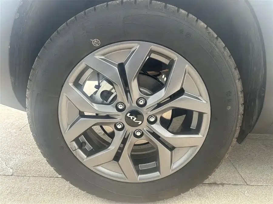 Kia Cyrus (Seltos) 2023 Certus 1.5L CVT Luxury Edition 2023 — миниатюра 5