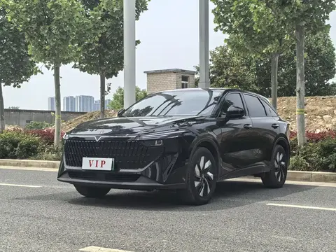 Venucia Big V DD-i 2024 купить в Москве