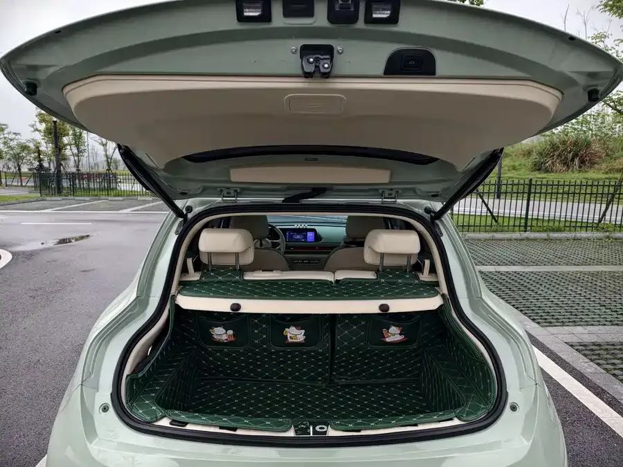 ORA good cat Euler Good Cat 2022 400km standard range premium ternary lithium model 2022 — миниатюра 4