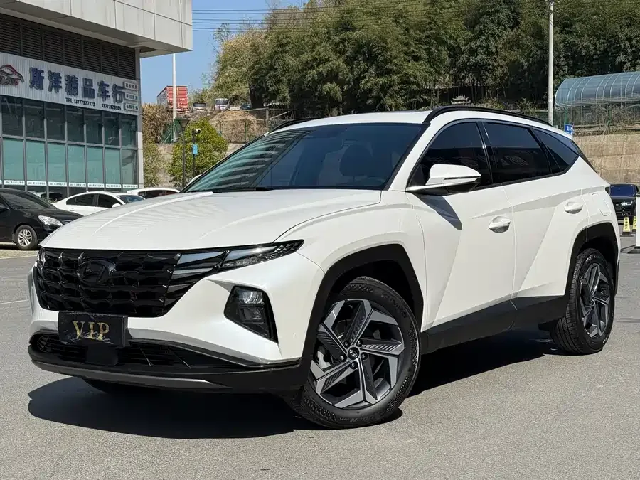 Hyundai Tucson L Tucson 2023 Tucson L 1.5T Automatic 2WD DLX Luxury Edition 2023 — фото 1, купить с доставкой в Москву