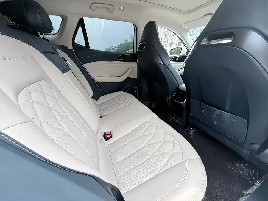 Hengchi 5 Hengchi 5 2022 Super Luxury Edition 2022 — миниатюра 2