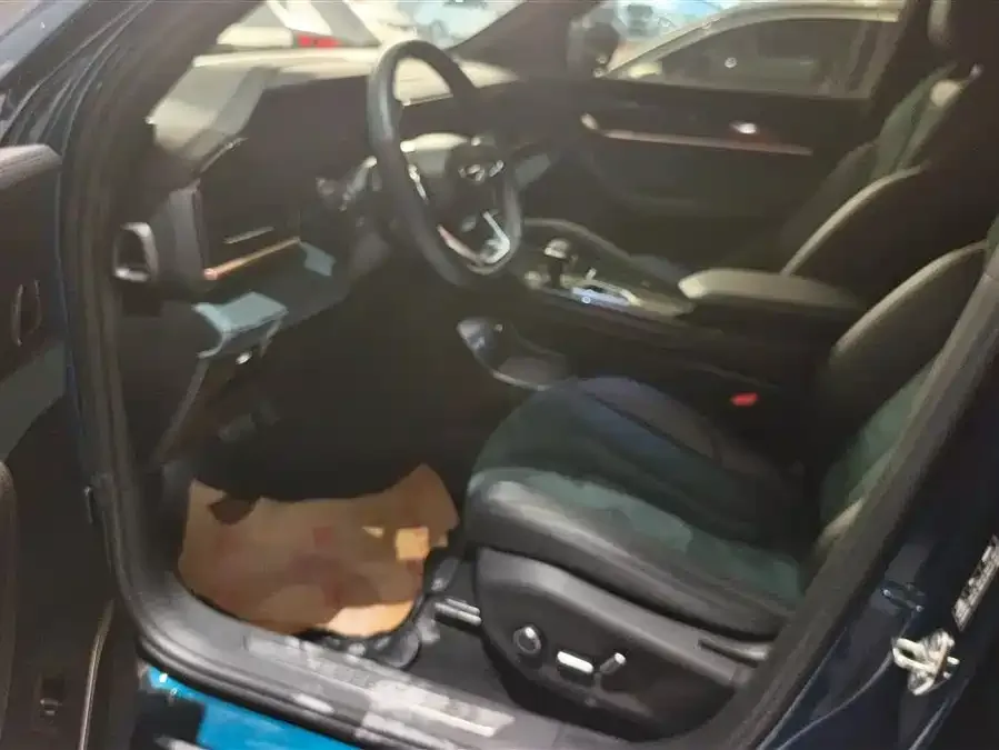Geely Monjaro Xingyue L 2021 2.0TD DCT EVO 2WD Premium Edition 2022 — миниатюра 3