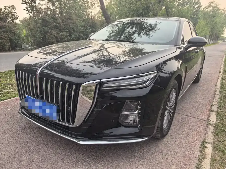 Hongqi H5 Hongqi H5 2025 1.5T DCT Flagship Edition 2025 — фото 1, купить с доставкой в Москву