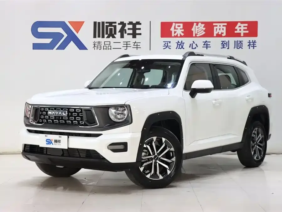 Haval Big Dog PLUS Haval Big Dog PLUS 2023 1.5T 2WD Trendy Wild Edition Plus 2023 — фото 1, купить с доставкой в Москву