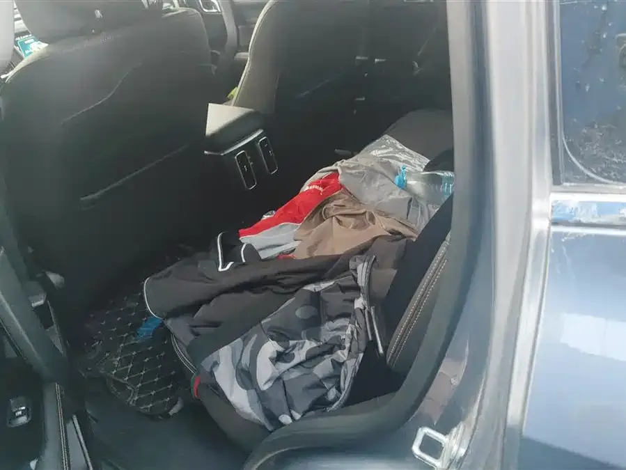 Haval Big dog Haval Big Dog 2024 2.0T DCT Chinese Pastoral Dog Edition 2023 — миниатюра 5