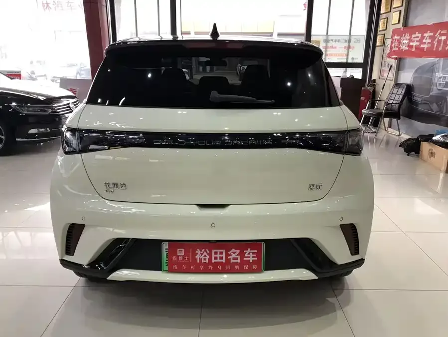 BYD Dolphin Dolphin 2025 420KM Fashion Edition 2024 — миниатюра 2
