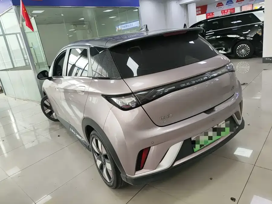 BYD Dolphin Dolphin 2021 401km Knight Edition 2023 — миниатюра 3