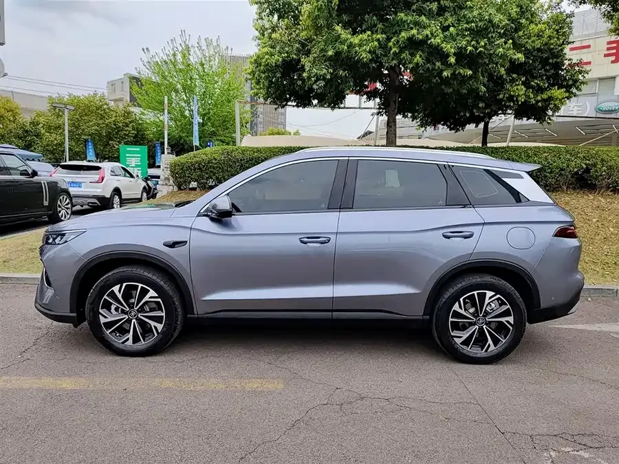 BYD Song Pro New Energy Song Pro New Energy 2026 DM-i 133KM Super Edition 2025 — миниатюра 3