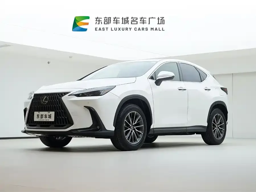 Lexus NX 2024 260 FWD Creative Edition 2024 — фото 1, купить с доставкой в Москву
