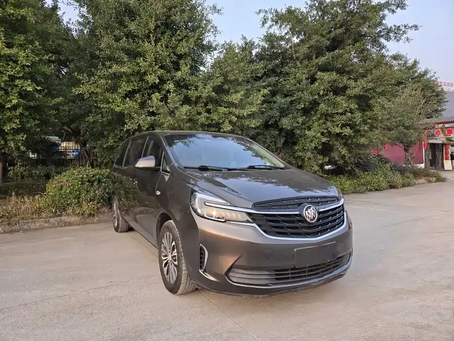 Buick GL8 2022 Land Business Class 652T Comfort Edition 2022 — миниатюра 3