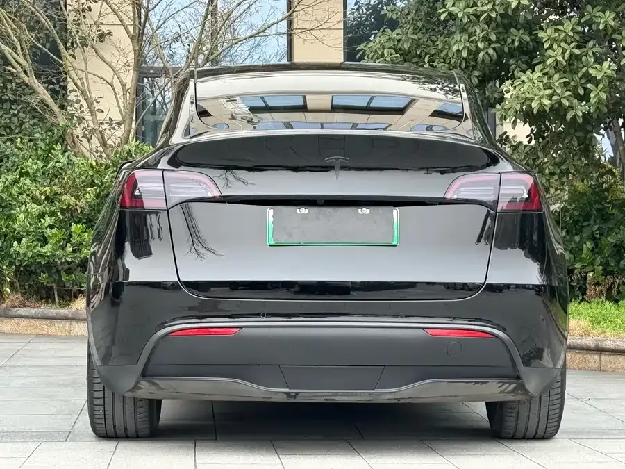 Tesla Model Y Model Y 2022 rear-wheel drive version 2023 — миниатюра 3