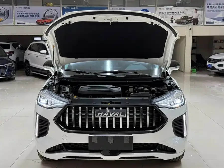 Haval Chitu (Red Rabbit) Haval Red Rabbit 2023 1.5T Excellent Model 2023 — миниатюра 4