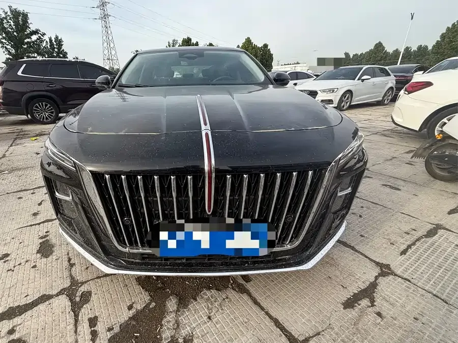 Hongqi H5 Hongqi H5 2025 2.0T Automatic Flagship Edition 2025 — фото 1, купить с доставкой в Москву