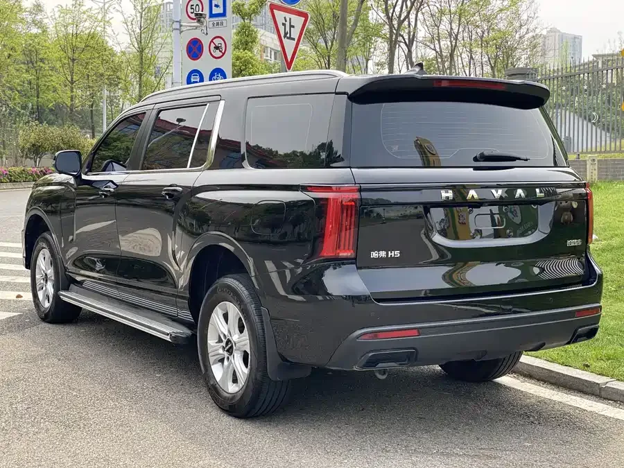 Haval H5 Haval H5 2025 2.0T Automatic 4WD LinkedIn Edition Diesel 2025 — миниатюра 2