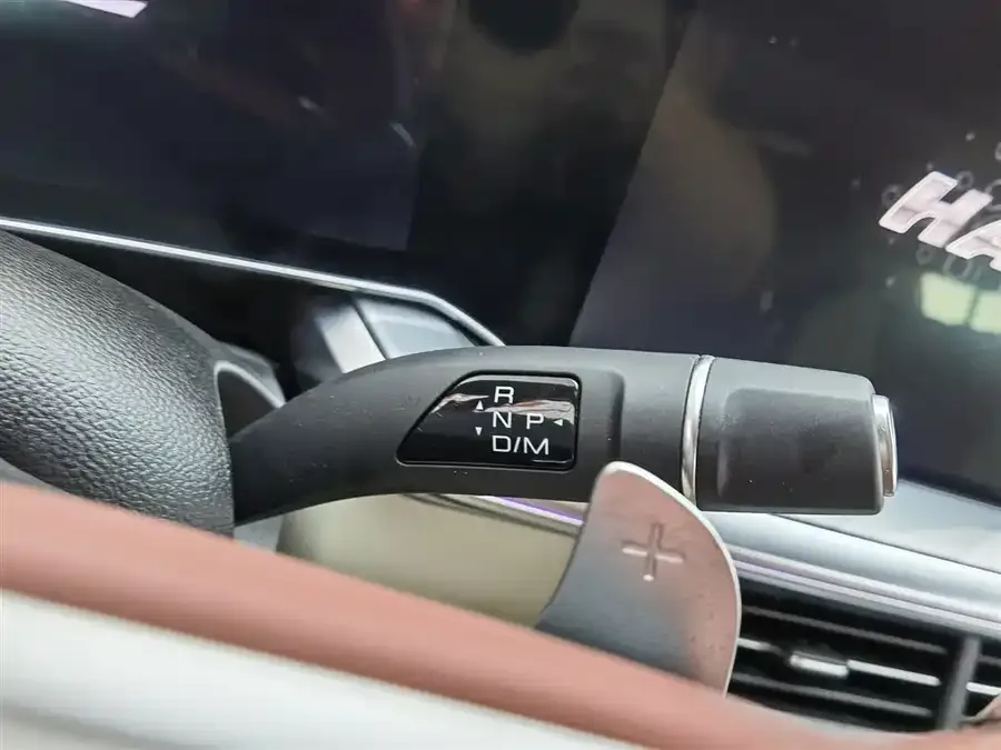 Haval Shenshou Haval Shenshou 2022 2.0T Zhizun 4WD Edition 2022 — миниатюра 4