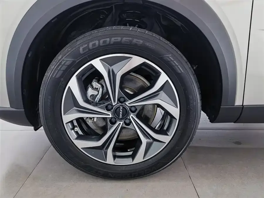 Haval Shenshou Haval Shenshou 2022 2.0T Zhizun 4WD Edition 2022 — миниатюра 5