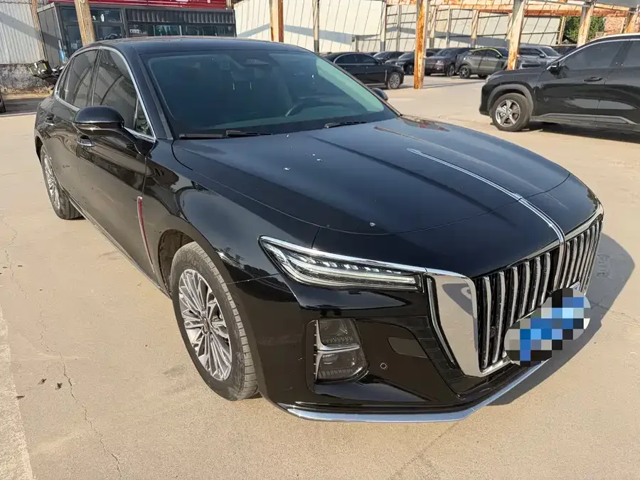 Hongqi H5 Hongqi H5 2023 2.0T Automatic Intelligent Connected Flag Edition 2023 — миниатюра 3