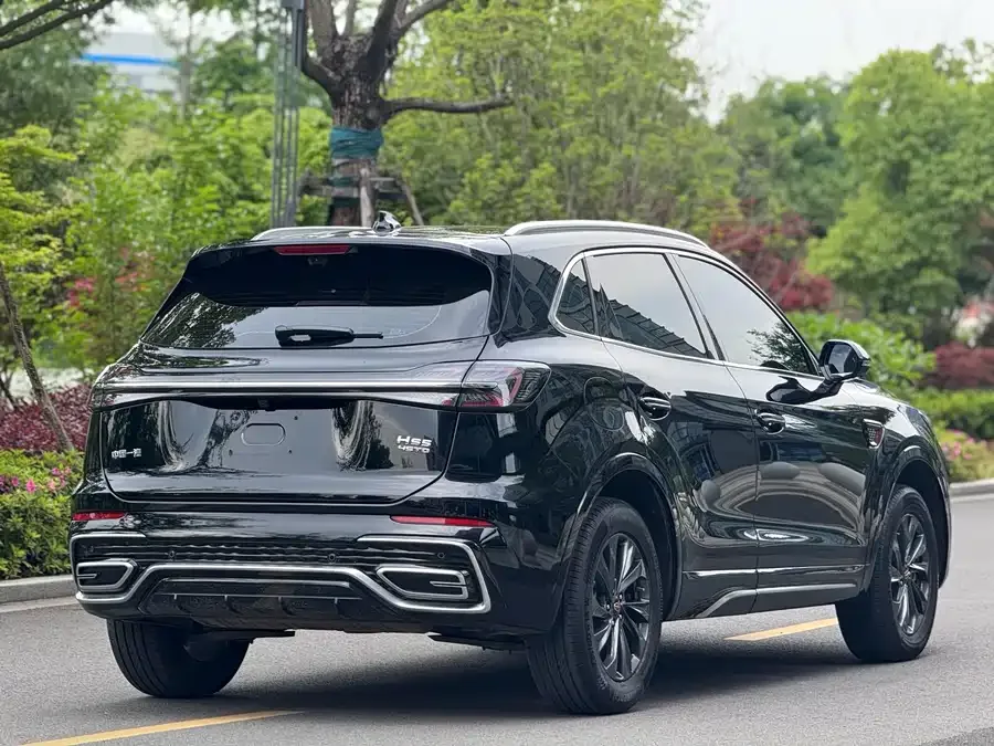 Hongqi HS5 Hongqi HS5 2023 2.0T Flagship Pro Edition 2024 — миниатюра 3