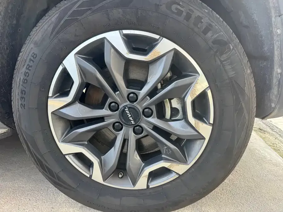Haval Big dog Haval Big Dog 2022 2.0T DCT 4WD Chinese Pastoral Dog Edition 2023 — миниатюра 2