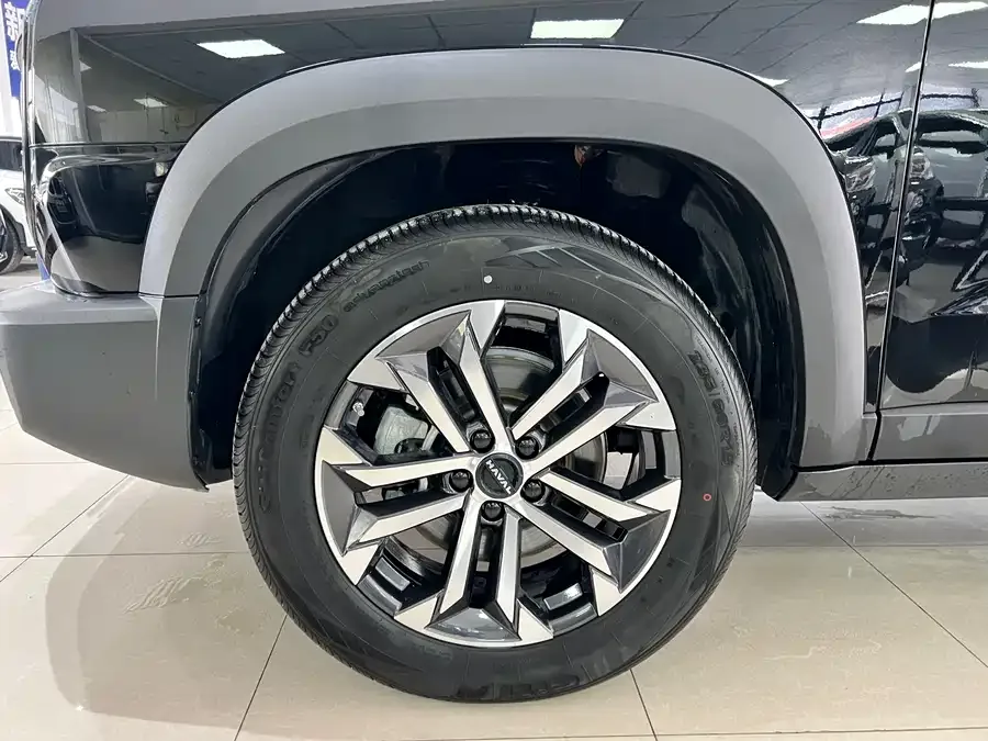 Haval Big dog Haval Big Dog 2024 1.5T DCT Border Collie Edition 2024 — миниатюра 2