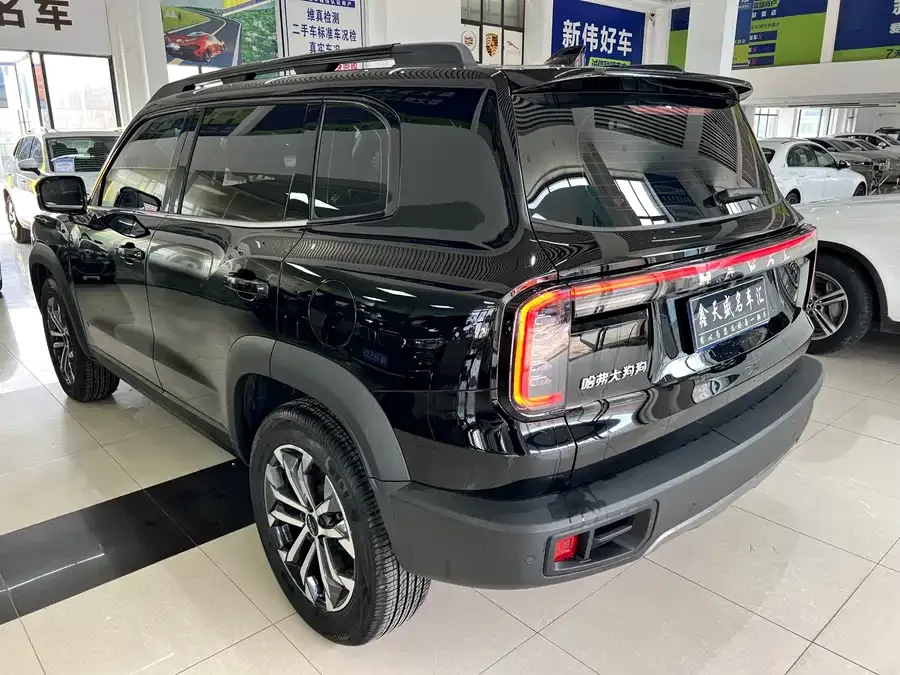 Haval Big dog Haval Big Dog 2024 1.5T DCT Border Collie Edition 2024 — миниатюра 4