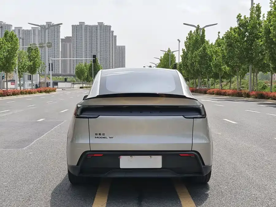 Tesla Model YL Model YL 2025 long-range all-wheel drive version 2025 — миниатюра 2