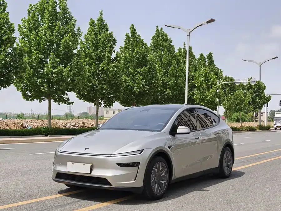 Tesla Model YL Model YL 2025 long-range all-wheel drive version 2025 — фото 1, купить с доставкой в Москву